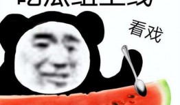 娱乐圈吃瓜小三,揭秘小三背后的真相与争议